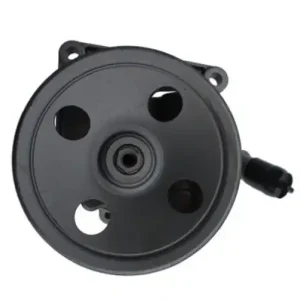 SPIDAN Hydraulikpumpe, Lenkung 54417 Schneller Versand