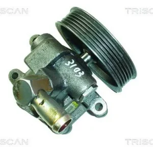 Billig TRISCAN Hydraulikpumpe, Lenkung 8515 16618