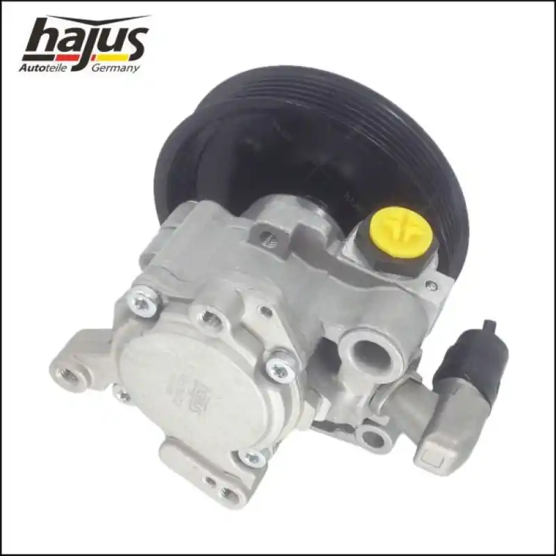 hajus Autoteile Hydraulikpumpe, Lenkung 4221032 Heißes Angebot