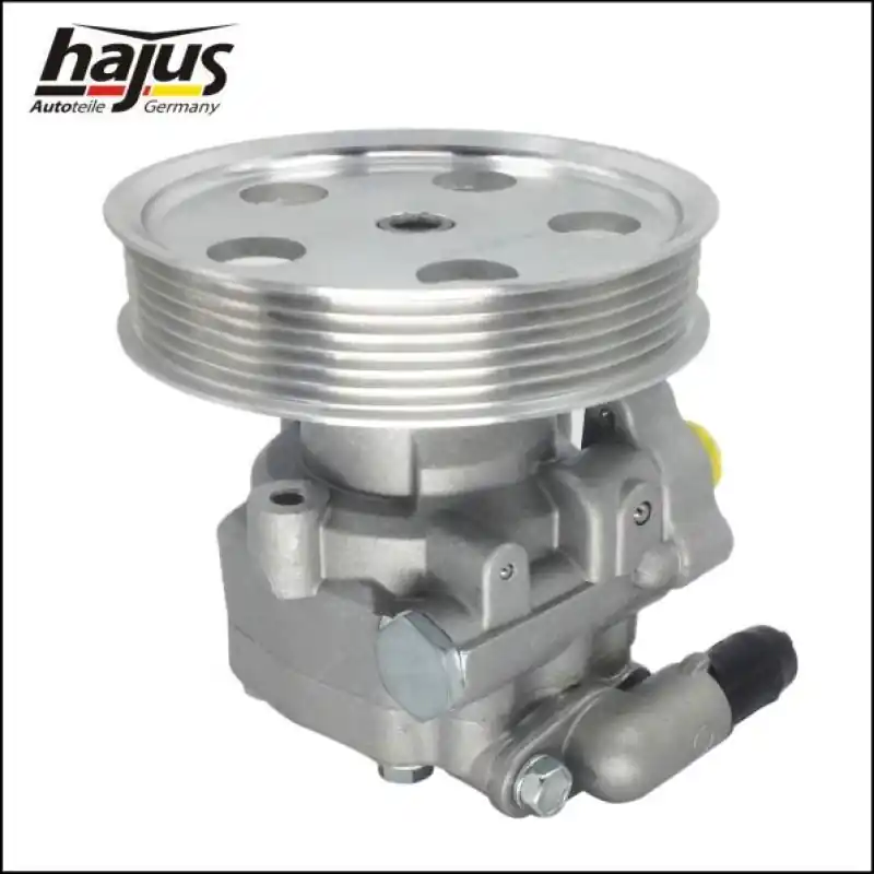 hajus Autoteile Hydraulikpumpe, Lenkung 4221024 Heißes Angebot