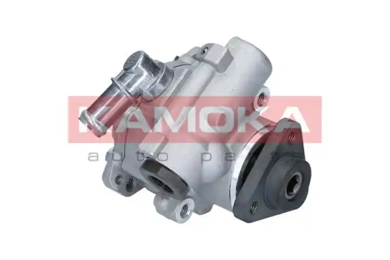 KAMOKA Hydraulikpumpe, Lenkung PP023 Top-Seller