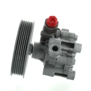 SPIDAN Hydraulikpumpe, Lenkung 54492 Direkt Vom Hersteller