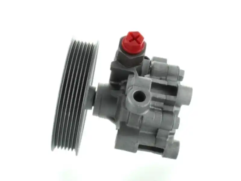 SPIDAN Hydraulikpumpe, Lenkung 54492 Direkt Vom Hersteller