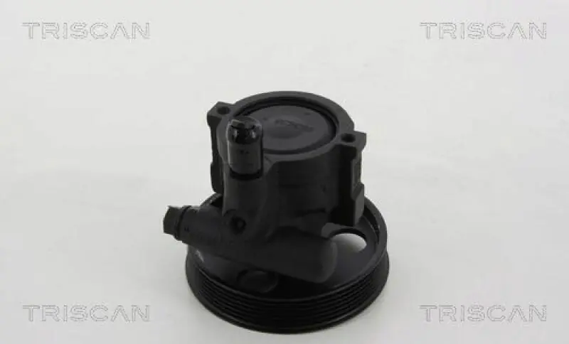 Kostenloser Rückversand TRISCAN Hydraulikpumpe, Lenkung 8515 25629
