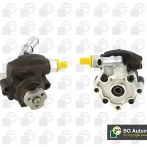 Letzte Chance BGA Hydraulikpumpe, Lenkung PSP2315