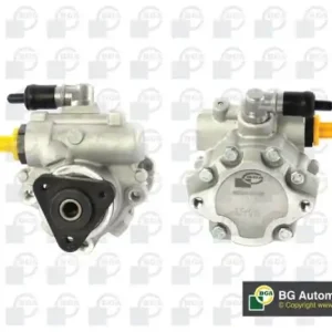 Saisonangebot BGA Hydraulikpumpe, Lenkung PSP4215