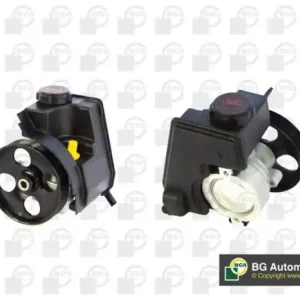 Kostenloser Rückversand BGA Hydraulikpumpe, Lenkung PSP6705