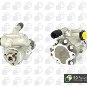 Begrenztes Angebot BGA Hydraulikpumpe, Lenkung PSP0110