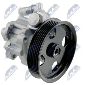 Kostenloser Rückversand NTY Hydraulikpumpe, Lenkung SPW-AR-001