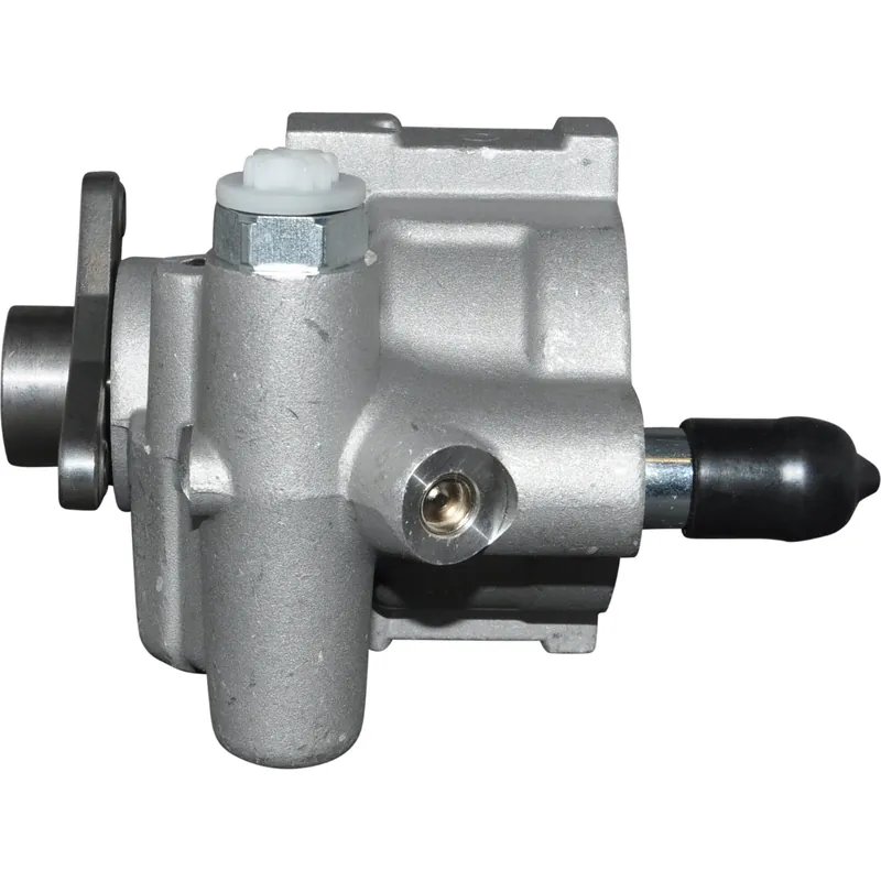 JP GROUP Hydraulikpumpe, Lenkung JP GROUP 1245101000 Echt
