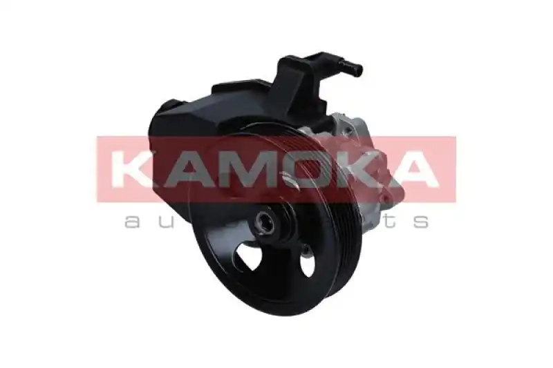 KAMOKA Hydraulikpumpe, Lenkung PP128 Preisreduziert