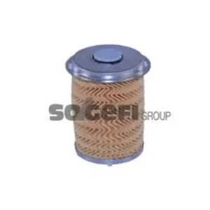 Kostenloser Versand TECNOCAR Kraftstofffilter N302