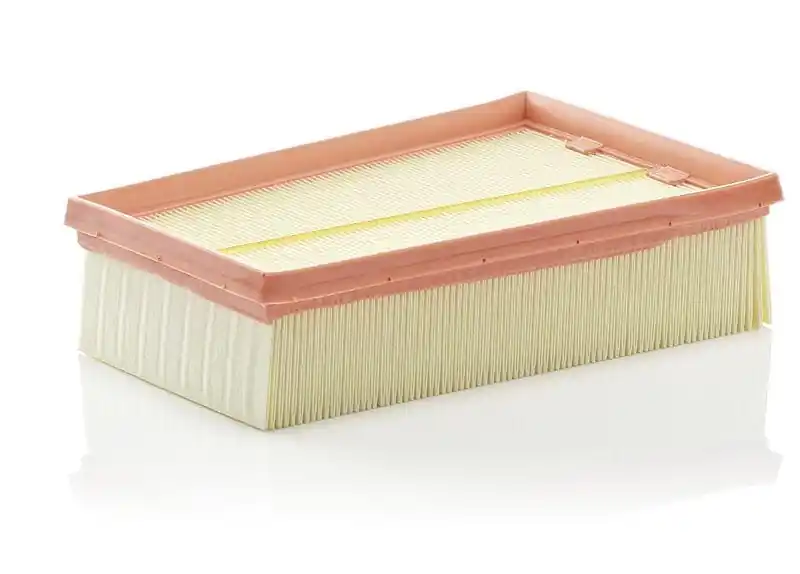 Preis Gesenkt MANN-FILTER Luftfilter C 2433/2