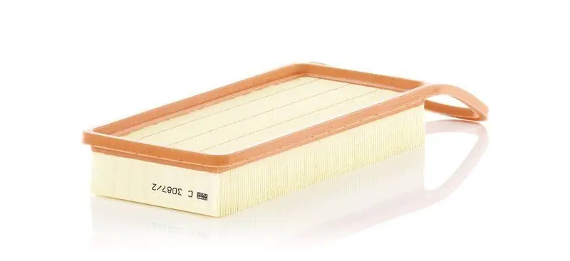 Bestseller MANN-FILTER Luftfilter C 3087/2