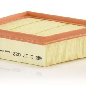 MANN-FILTER Luftfilter C17022 Preis Gesenkt