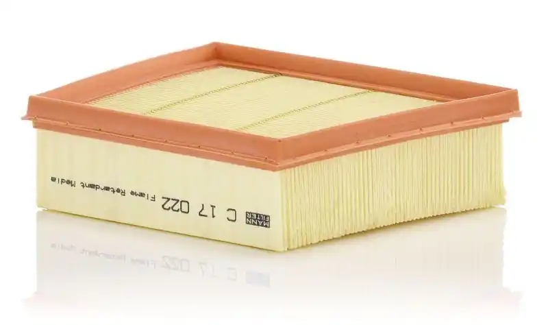MANN-FILTER Luftfilter C17022 Preis Gesenkt