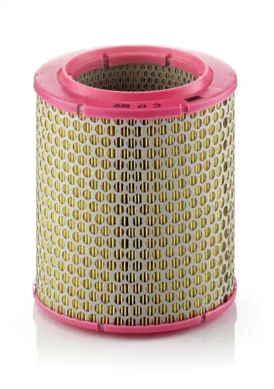 Bestpreis MANN-FILTER Luftfilter C 17 129