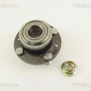 Kostenfreie Lieferung TRISCAN Radlagersatz 8530 18202