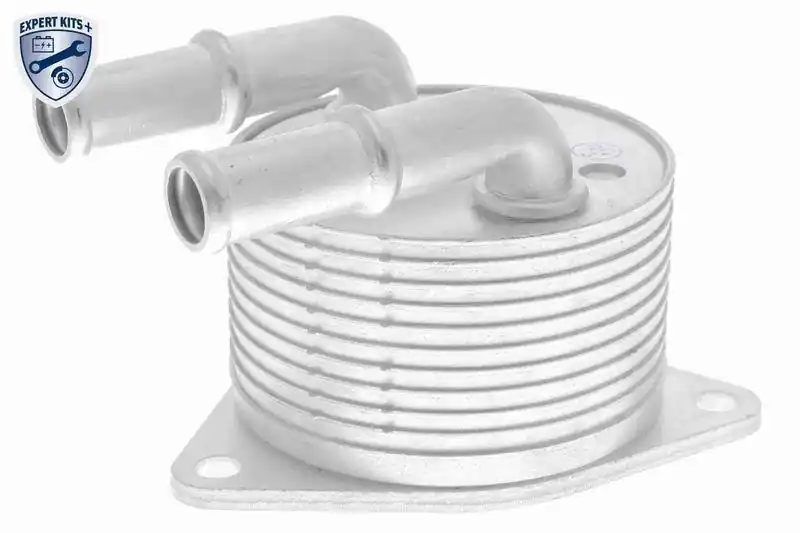 Begrenztes Angebot VEMO Ölkühler, Automatikgetriebe EXPERT KITS + V42-60-0012
