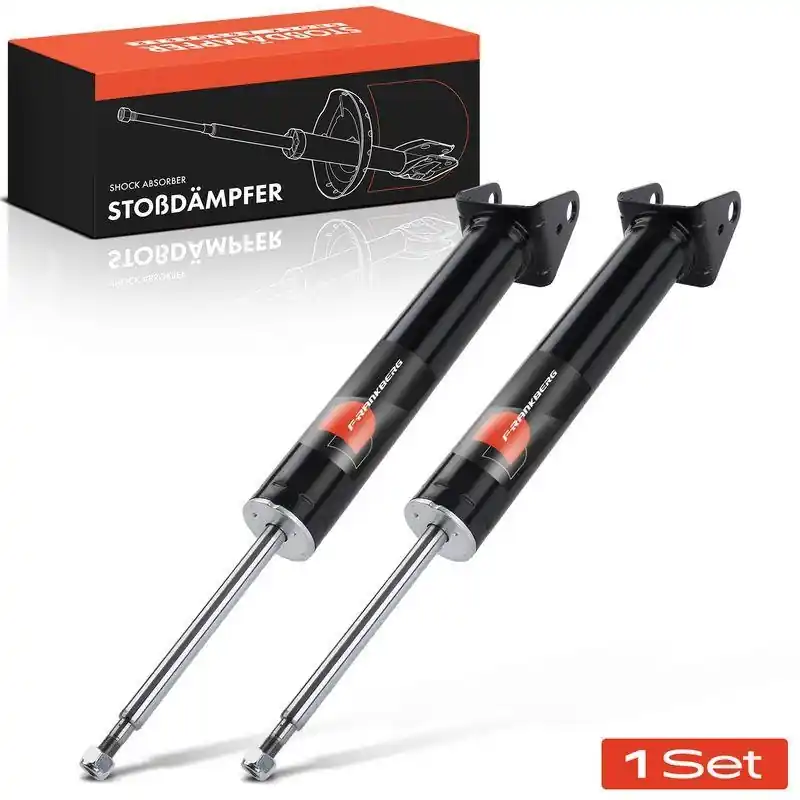 2x Frankberg Stoßdämpfer Hinterachse 5481FB0019618 Finale Aktion