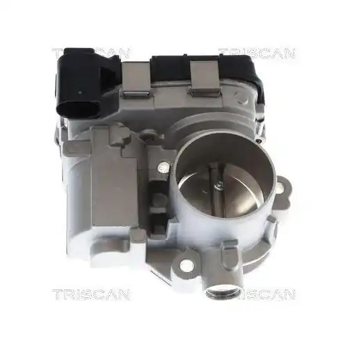 Beliebt TRISCAN Drosselklappenstutzen 8820 29036