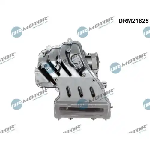 Ausverkauf Dr.Motor Automotive Saugrohrmodul DRM21825