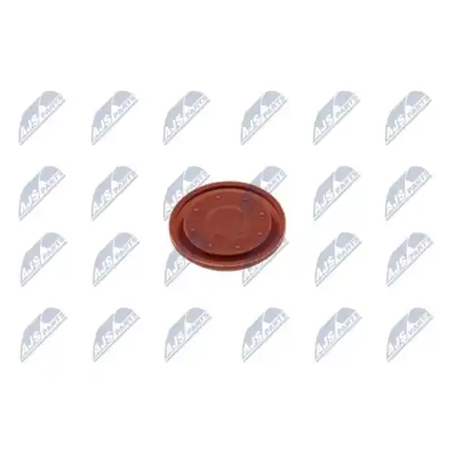 NTY Membran, Kurbelgehäuseentlüftung BPZ-VV-002 Billig