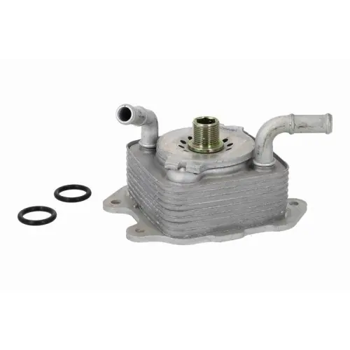 Zertifiziert ACKOJA Ölkühler, Motoröl Original ACKOJA Qualität A38-60-0024