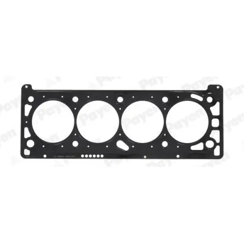 Finale Aktion PAYEN Dichtung, Zylinderkopf AC5460