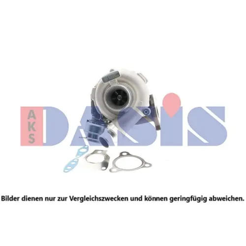 AKS DASIS Lader, Aufladung 185018N Garantierte Lieferung