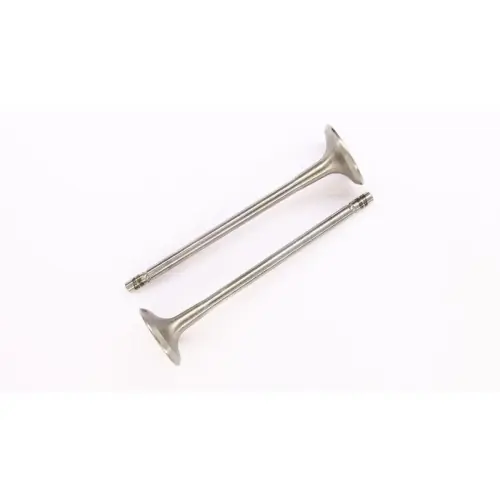 CORTECO Auslassventil 554011B Schnäppchen