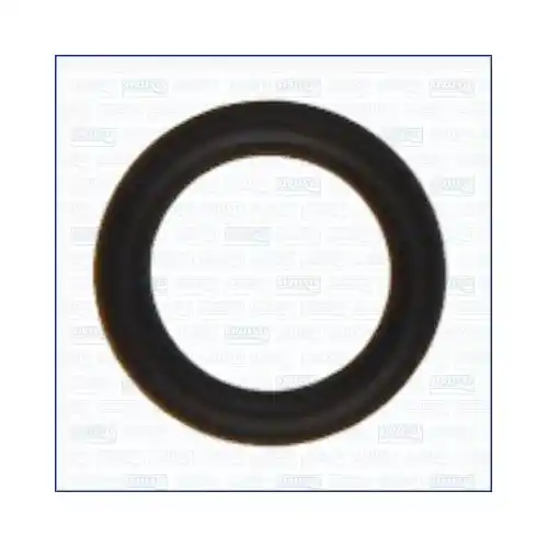 AJUSA Dichtung, Öleinlass (Lader) 16073100 Billig