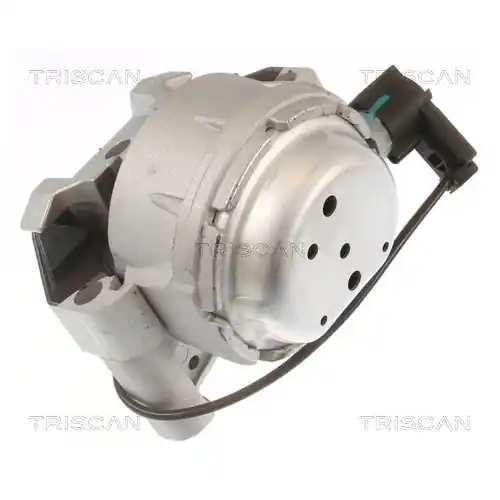 Geprüft TRISCAN Lagerung, Motor 8505 29171