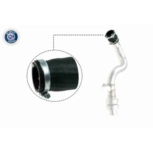 Beliebt VAICO Ladeluftschlauch Q+, Erstausrüsterqualität V48-0192