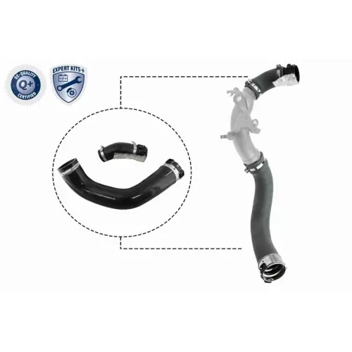 Versand Am Gleichen Tag VAICO Ladeluftschlauch EXPERT KITS + V46-1025