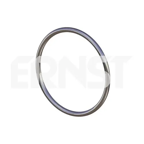 ERNST Dichtung, Abgasrohr 492423 Sichere Zahlung